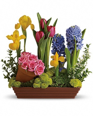 Arrangement floral Préférés du printemps