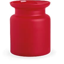 Vase rouge enchanté de Teleflora