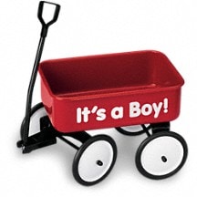 Wagon Wow pour bébé par Teleflora - Vase pour garçon