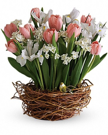 Arrangement floral Panier de chansons de tulipes