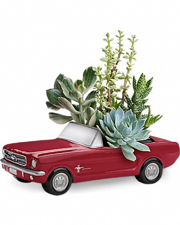 Plante Roues de rêve Ford Mustang 65 de Téléflora