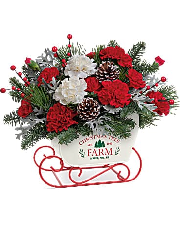 Bouquet Sleigh The Season de Teleflora