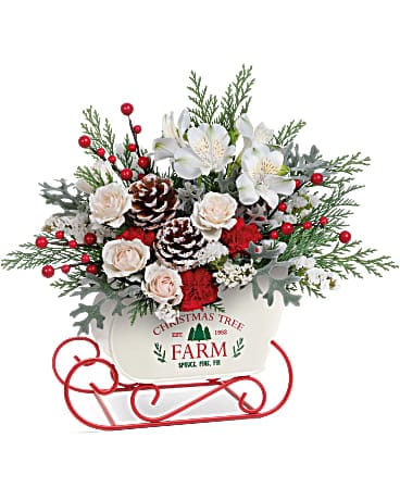 Bouquet de traîneau d’hiver de Teleflora
