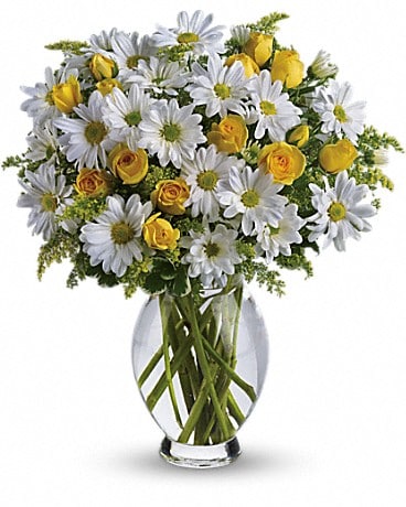 Bouquet Daisy de Teleflora