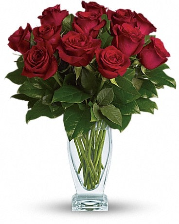 Rose classique – Une douzaine de roses rouges de Teleflora