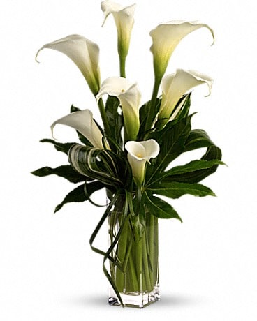 Bouquet Callas T83-1A blanc