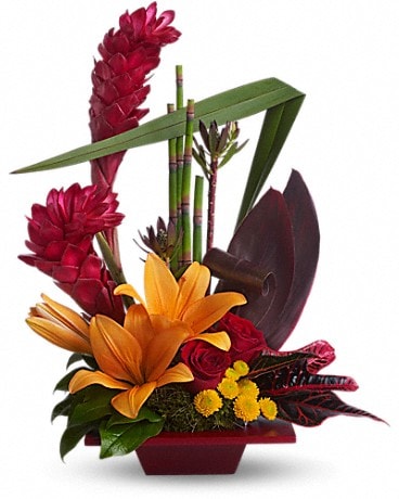 Bonheur tropical. T85-1A fleur arrangement floral