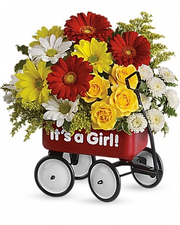 Vive le Wagon de bébé de Teleflora - Arrangement floral pour fille