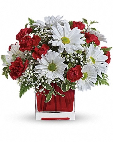 Bouquet Plaisir rouge et blanc par Teleflora