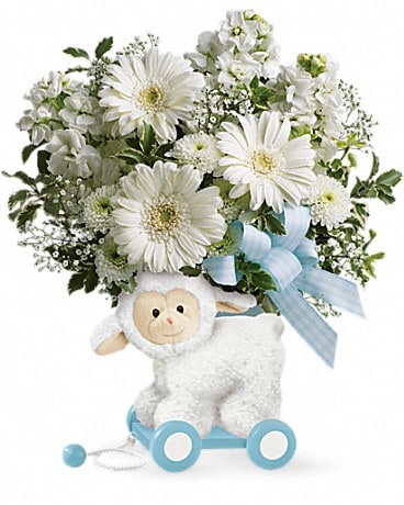 Agneau très doux de Teleflora – bouquet pour bébé bleu