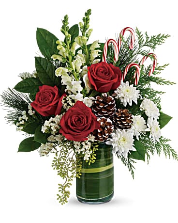 Bouquet de fleurs Pins festifs de Teleflora