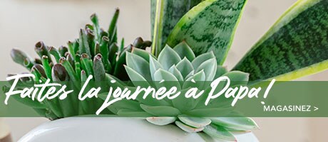  Livraison fleurs fête des Pères – Envoyez des fleurs pour la fête des Pères