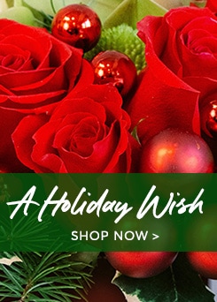 Bannière détaillée de la page produit pour les fleurs de Noël - Envoyer les fleurs de Noël - Livraison des fleurs de Noël