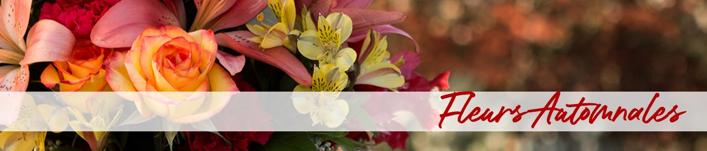 Livraison fleurs automnales – Envoyez des fleurs automnales