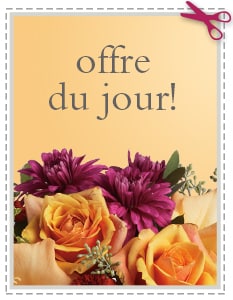 Envoyer la meilleure offre du jour - le plus grand arrangement le plus frais