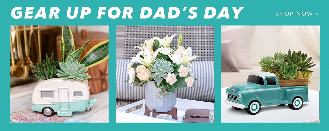 Bannière de page d’accueil pour la fête des Pères - Envoyer des fleurs pour la fête des Pères - Livraison de fleurs pour la fête des Pères