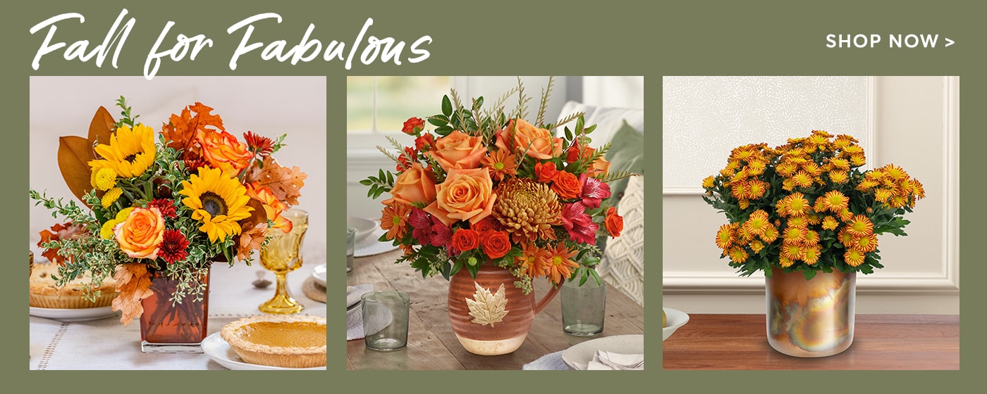Fleurs automnales