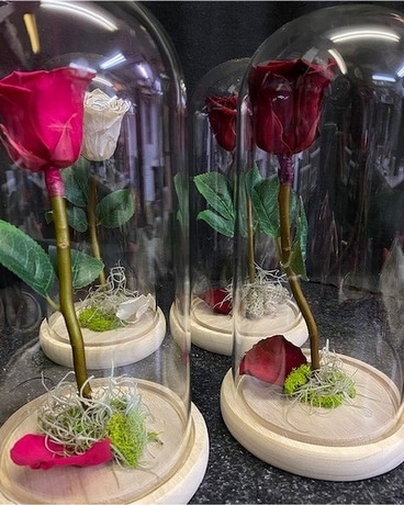 Disposition de fleurs rose éternelle en globe