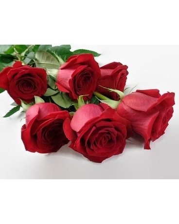 Disposition des six roses rouges (sans vase)