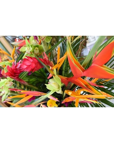 Choix du Fleuriste - bouquet tropical Bouquet