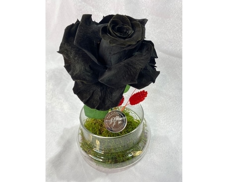 Disposition éternelle des fleurs de rose