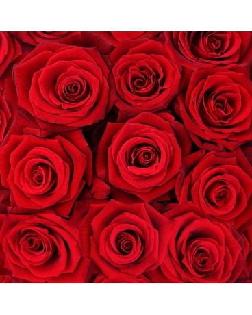 Bouquet à la rose rouge