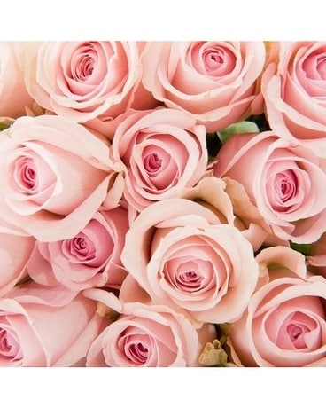 Bouquet rose poudré à roses