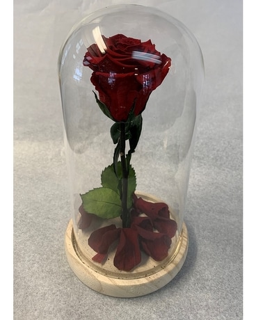 Disposition de fleurs rose éternelle en globe
