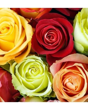 Six compositions florales de roses mixtes (sans vase)