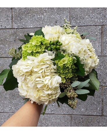 hydrangée simple bouquet bouquet