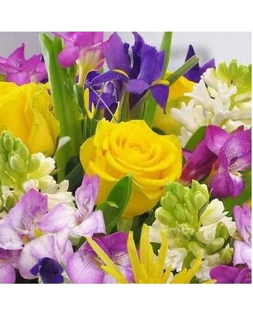 Disposition des fleurs jaunes et violettes