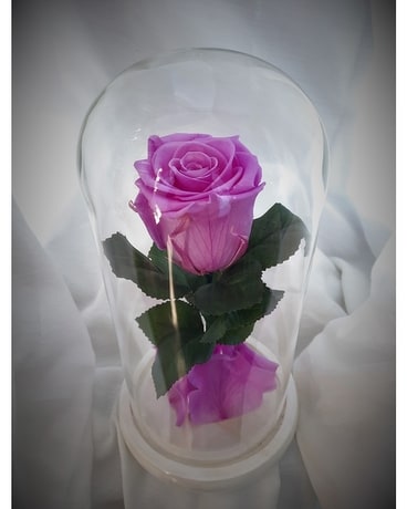 Cadeaux lilas rose éternelle en dôme