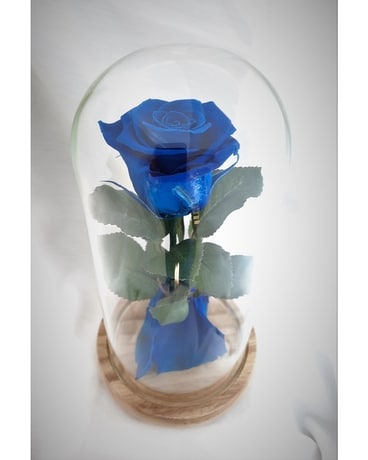 Rose éternelle bleue en cadeaux de dôme