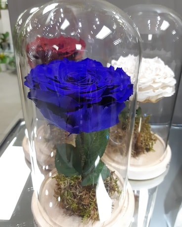 Décoration de fleurs bleu géant pour la Belle éternelle et la Bête