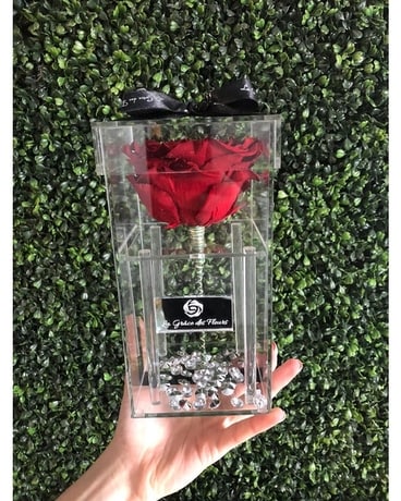Boîte de luxe fleur arrangement floral de ~ ÉTERNEL GÉANT de ROSE