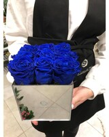 taille plexi argenté/roses bleues, hauteur en pouces et largeur en pouces.