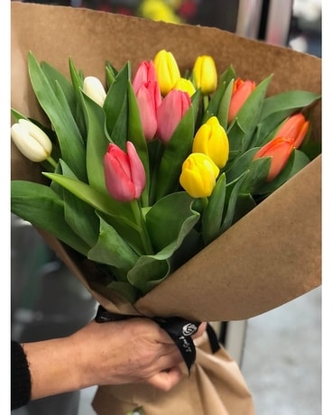 12 taille de tulipe, pouces de hauteur et pouces de largeur.