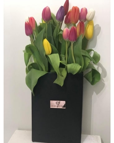 Pot noir Tulip Dreamland Flower Arrangement