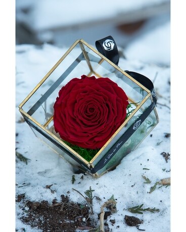 Disposition des fleurs PRISM