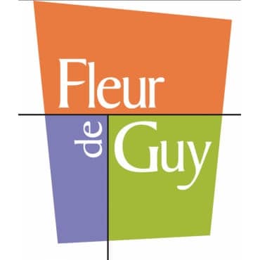Fleuriste Fleur De Guy - Logo