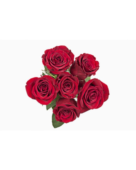 six roses rouges sans composition florale de vase