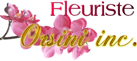 Fleurs et cadeaux Fleuriste Orsini - Logo