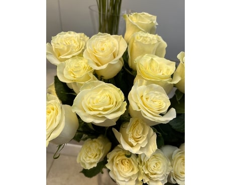 Une douzaine de fleurs blanches à roses à tige longue