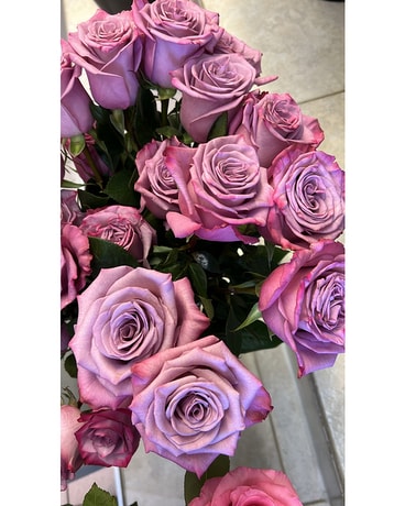 Une douzaine de fleurs violettes à roses à tige longue