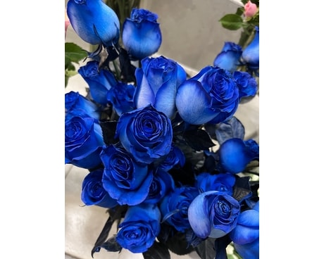 12 disposition des fleurs roses bleues