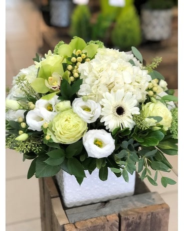 Beauté blanche et verte fleur arrangement floral